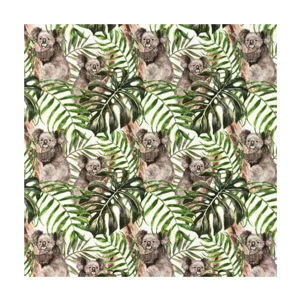 Poplin digital, Koala